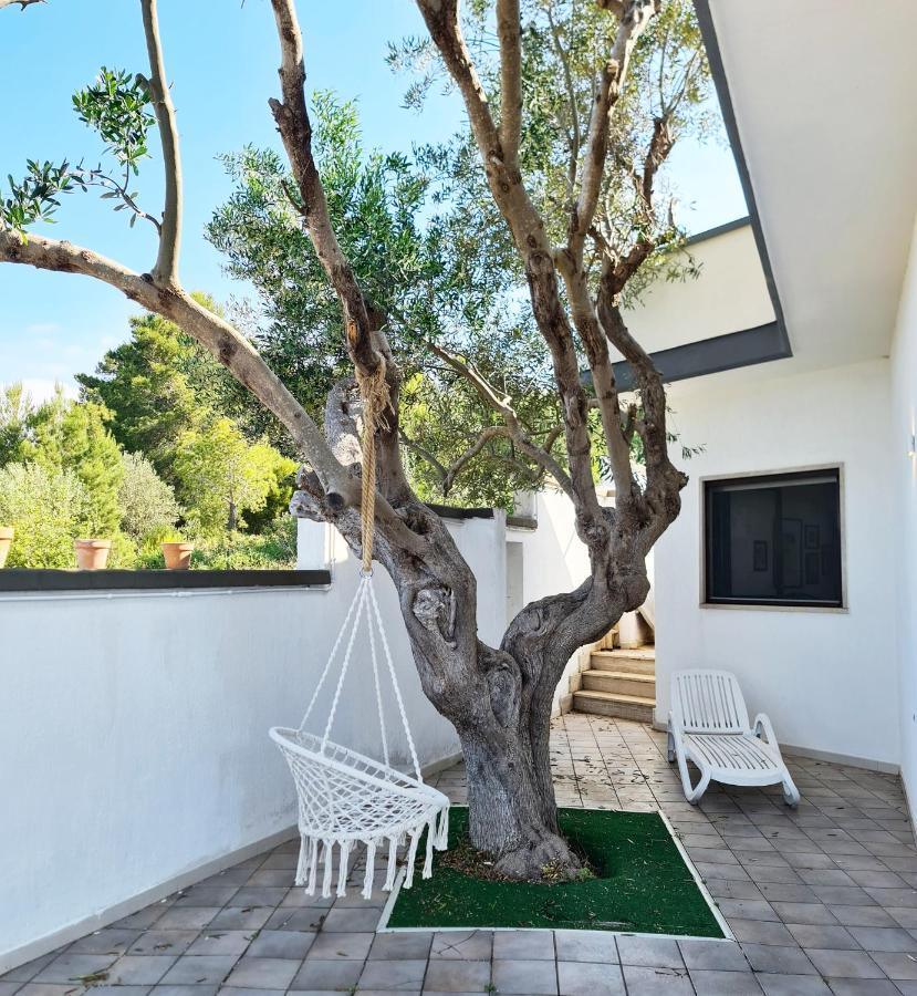 Villa Panoramica Sunset House Torre Vado Exteriér fotografie